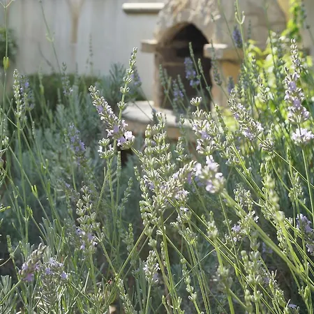 Holiday home Zuccaro Gallipoli