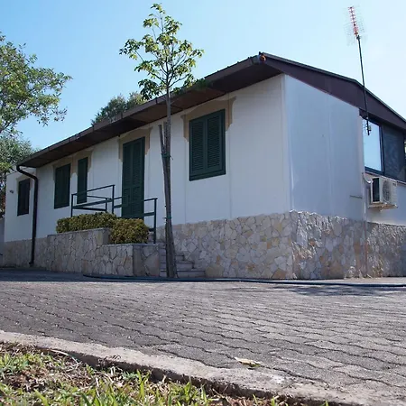 Zuccaro * Gallipoli
